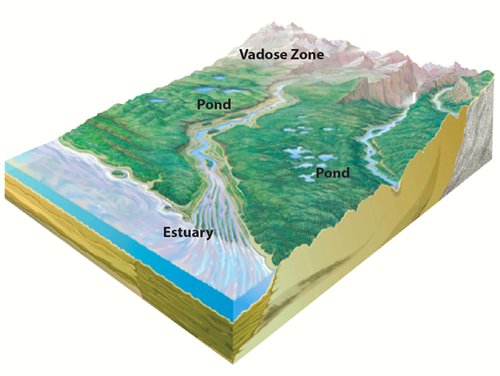 Examples of field sites: an estuary, two ponds, and the vadose. Click to view larger image. zone